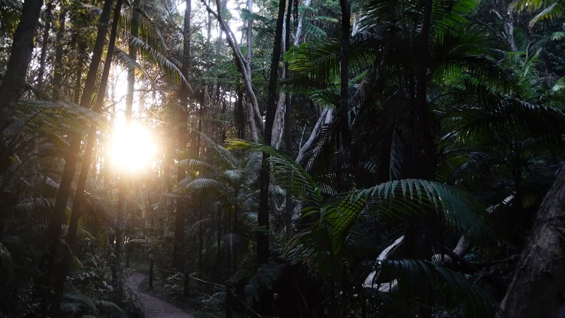 7 Stages of Kundalini Awakening Video Essay